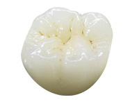 �W���R�j�A�Z���~�b�N